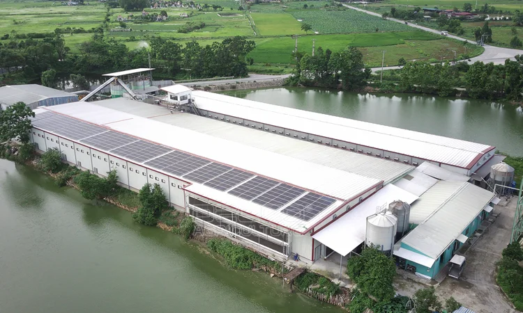 trang trai cong nghe cao 02
