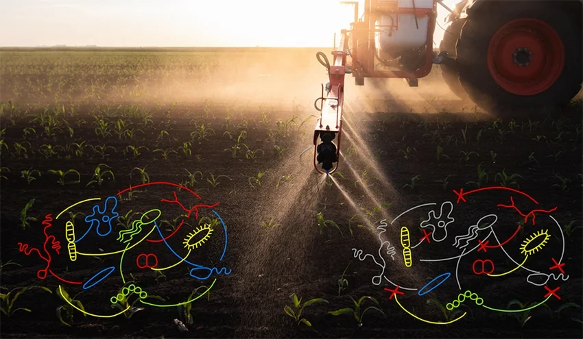 Overuse of pesticides and chemical fertilizers will destroy beneficial microorganisms, disrupting the structure and function of the microbial community.