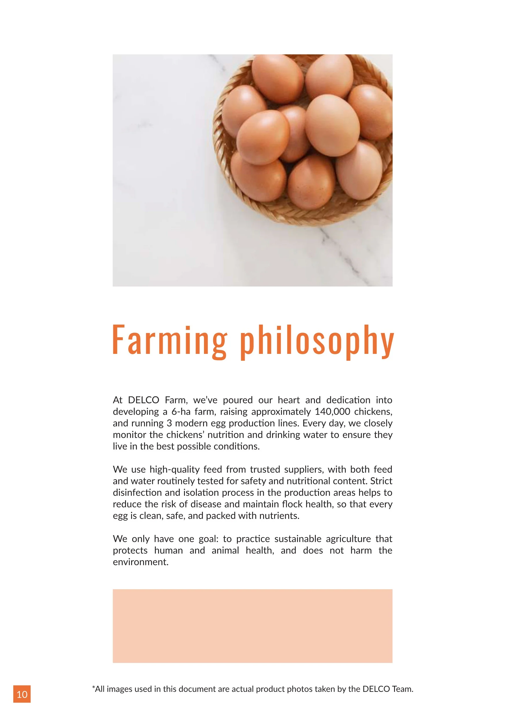 Brochure trung ga 2025 en10 2
