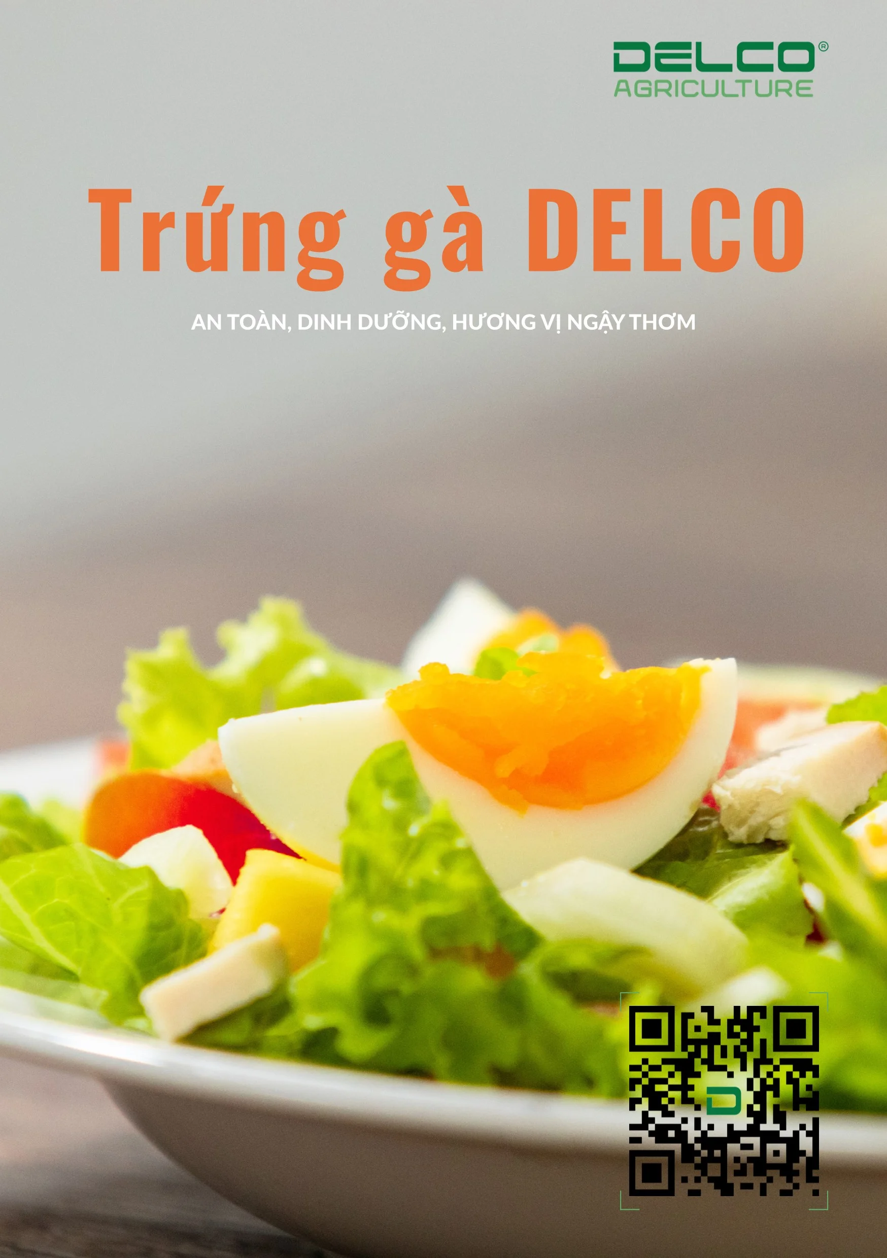 a5 brochure trung ga 20251