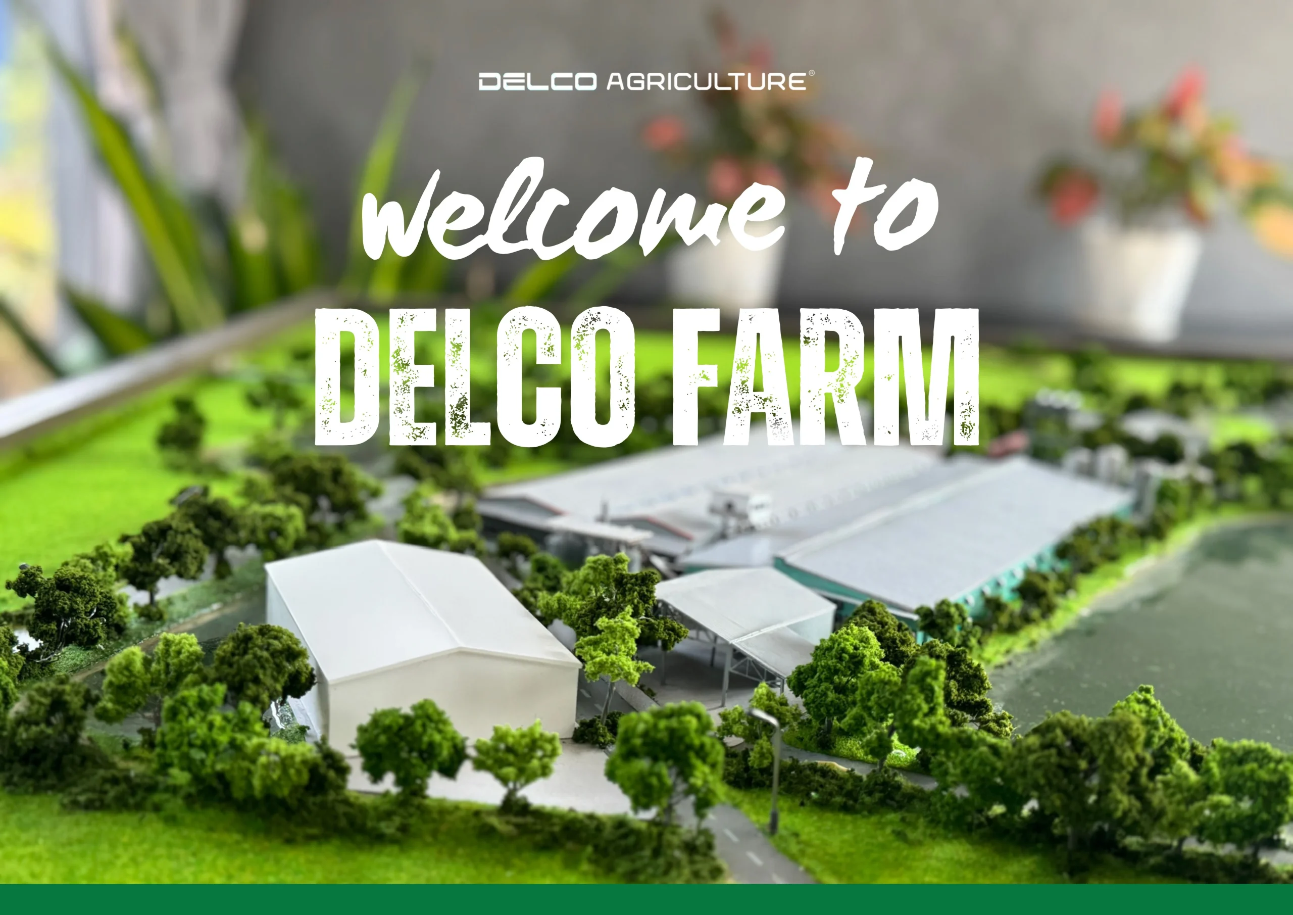 huong dan tham quan delcofarm1 scaled