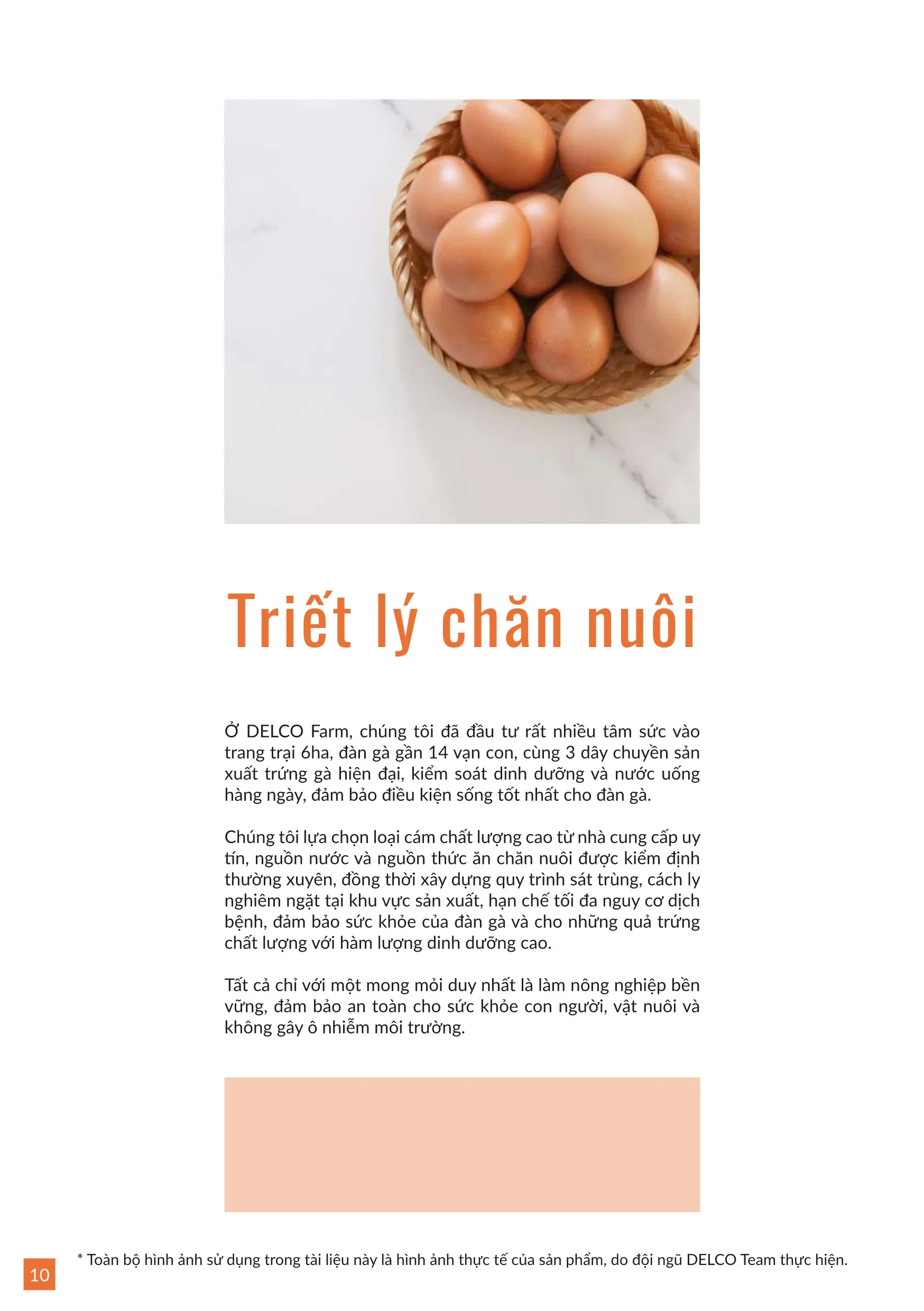 Brochure trung ga 202510