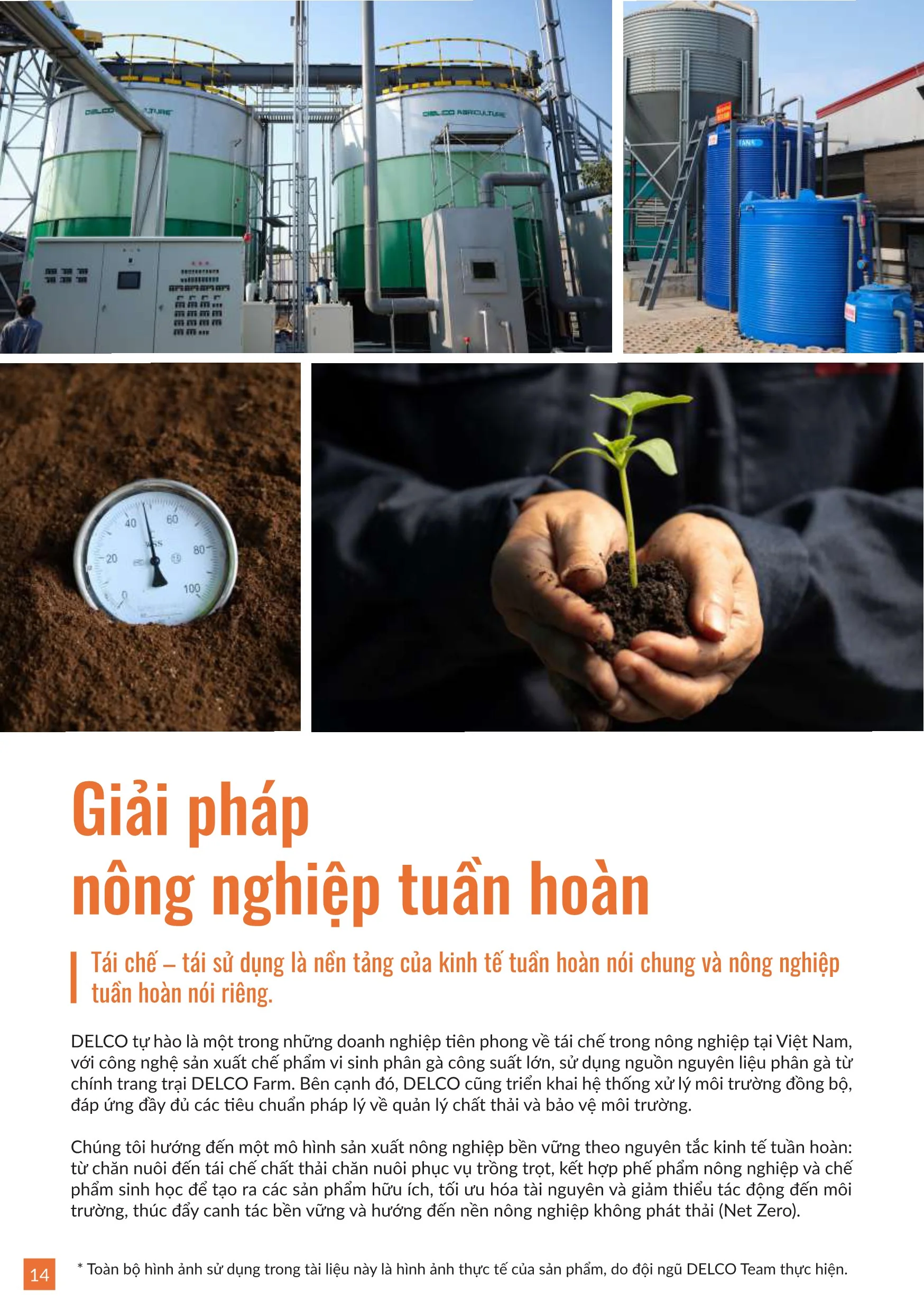 Brochure trung ga 202514