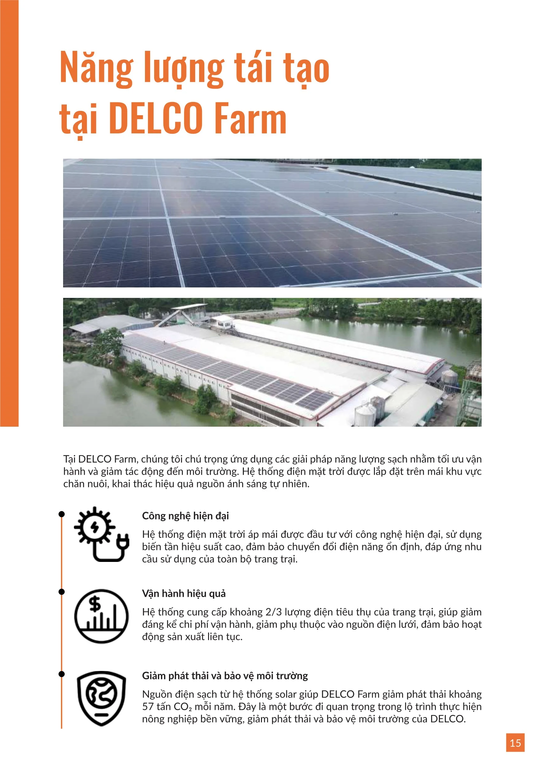 Brochure trung ga 202515