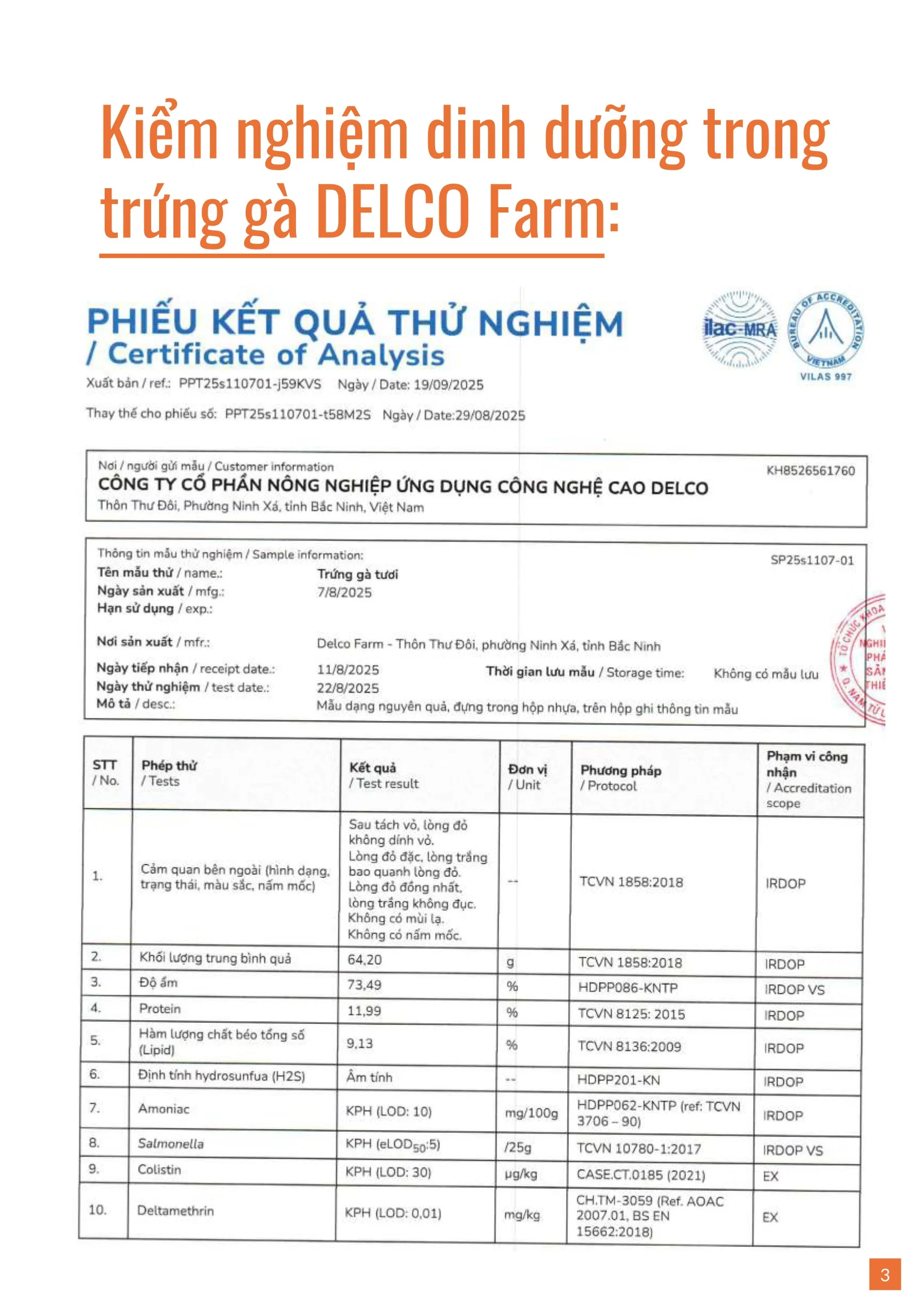Brochure trung ga 20253