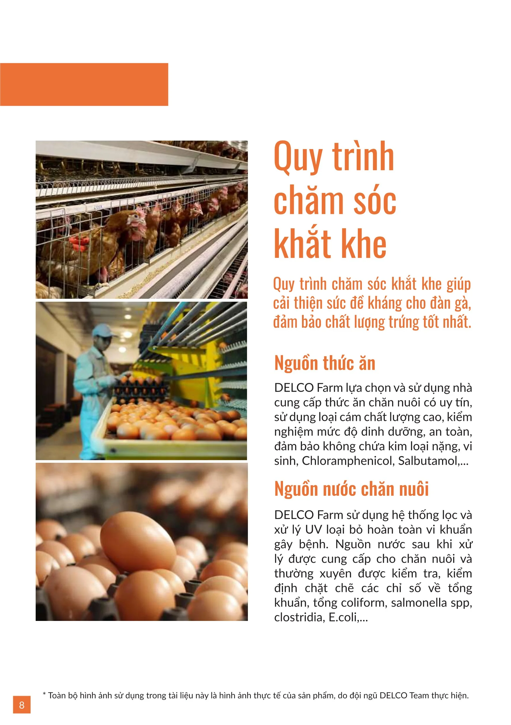 Brochure trung ga 20258