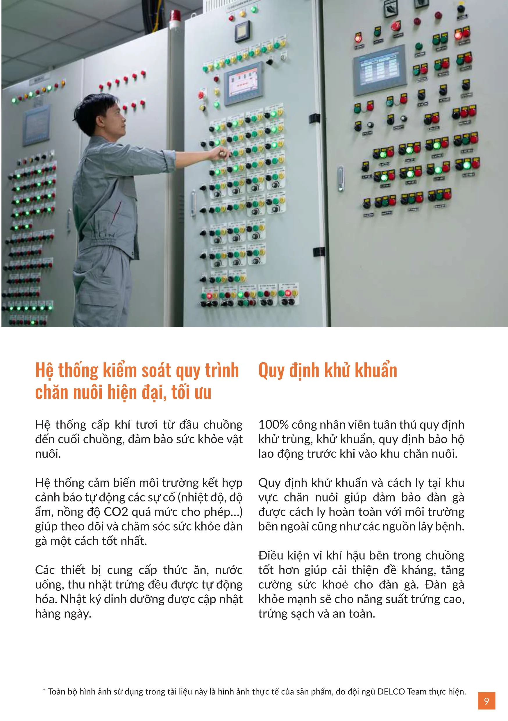 Brochure trung ga 20259