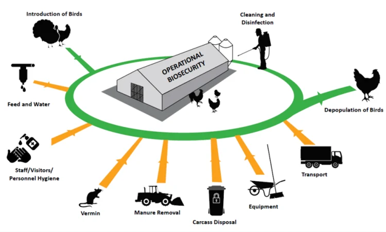 Biosecurity as the foundation of high-tech closed-loop circular farms