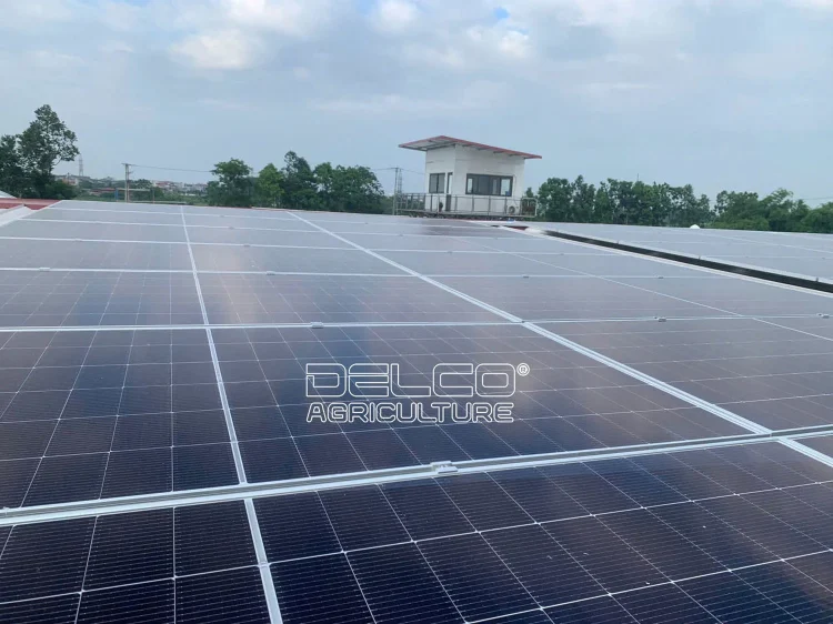 Solar energy system supplying power to livestock farms