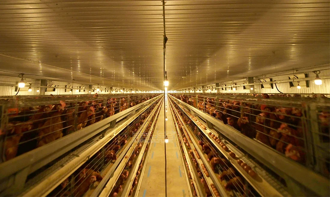 module nha ga cach nhiet thong minh 1