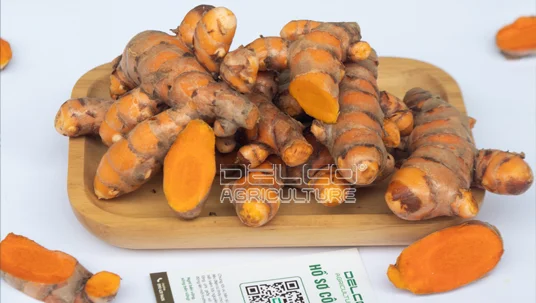 nghe sach delco farm 1