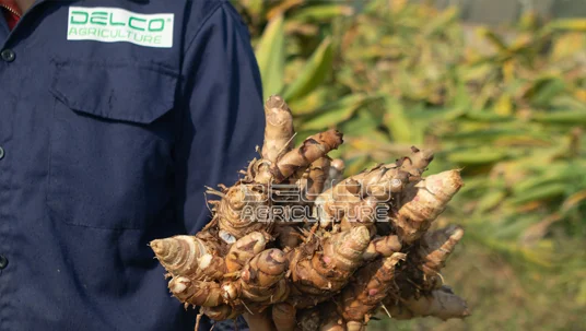 nghe sach delco farm