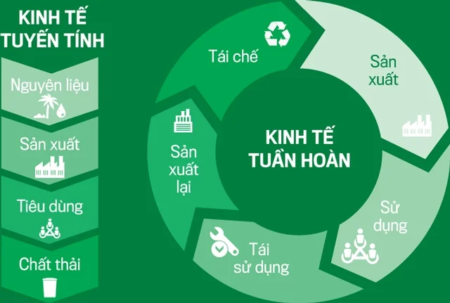 Khi nào trang trại nên hướng đến mô hình tuần hoàn khép kín? Khi nào trang trại nên hướng đến mô hình tuần hoàn khép kín?